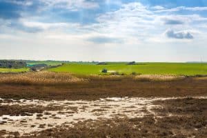 Pioneering AI architectures for detection of gas-phase ammonia