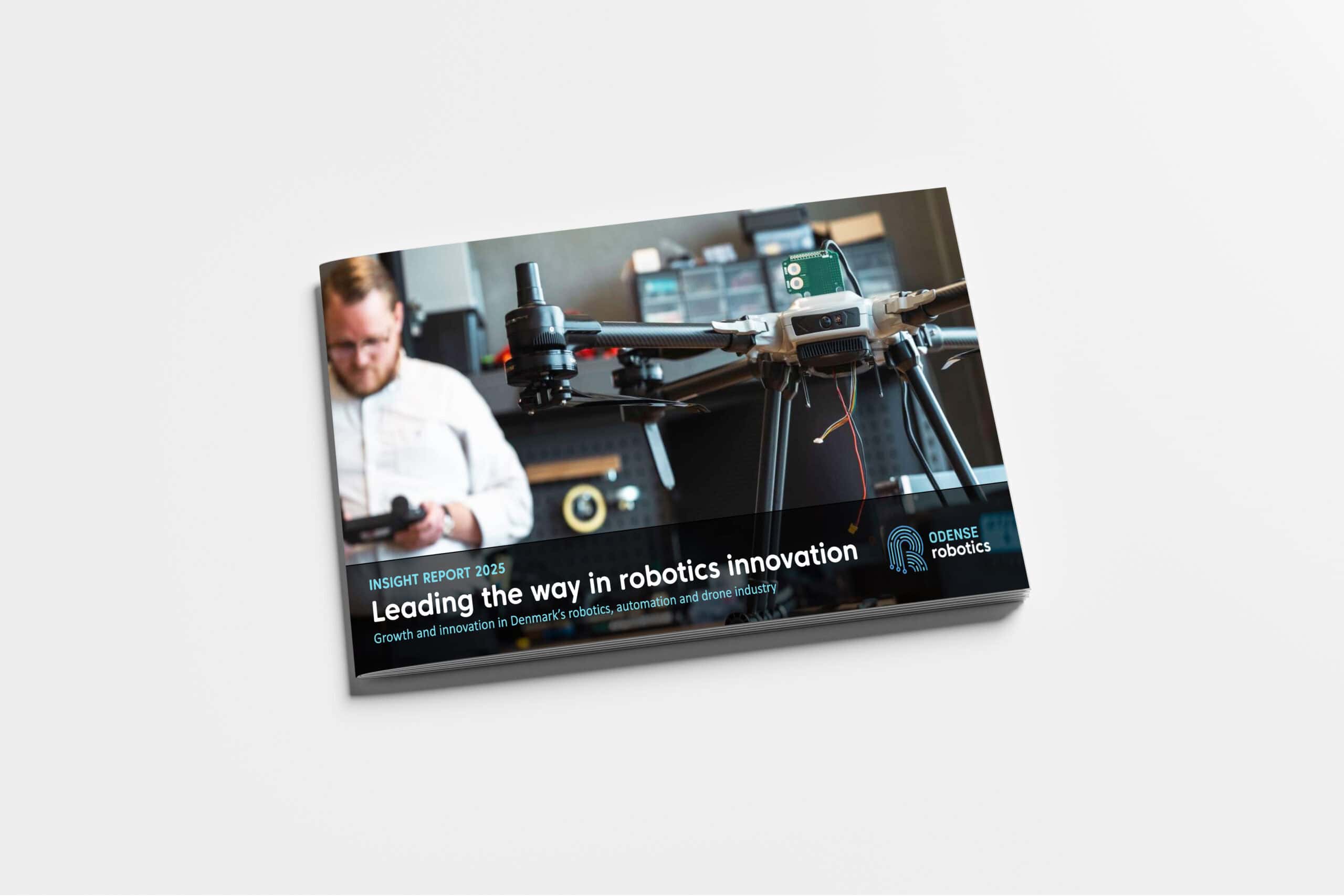 Insight Report 2025